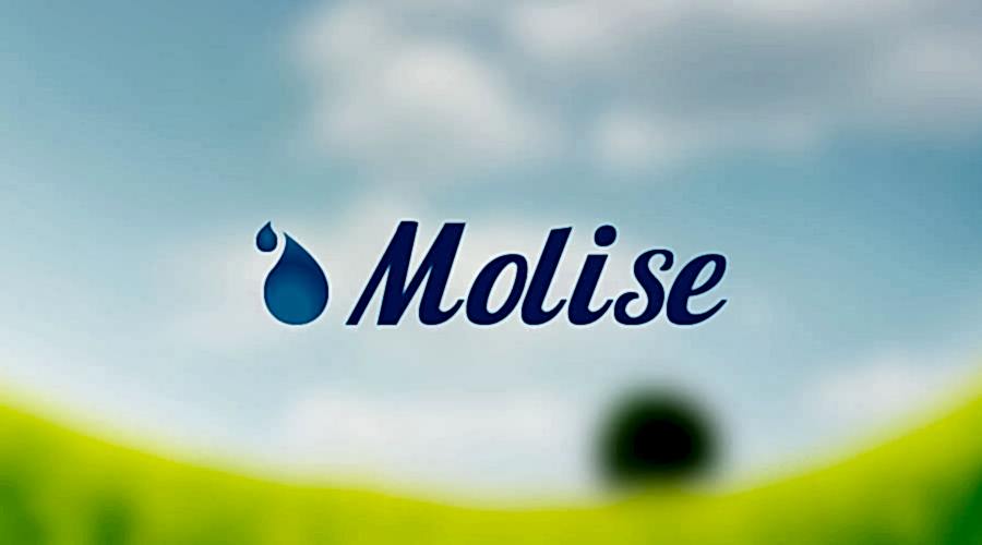 Molise Bebek & Hasta Bezi 73