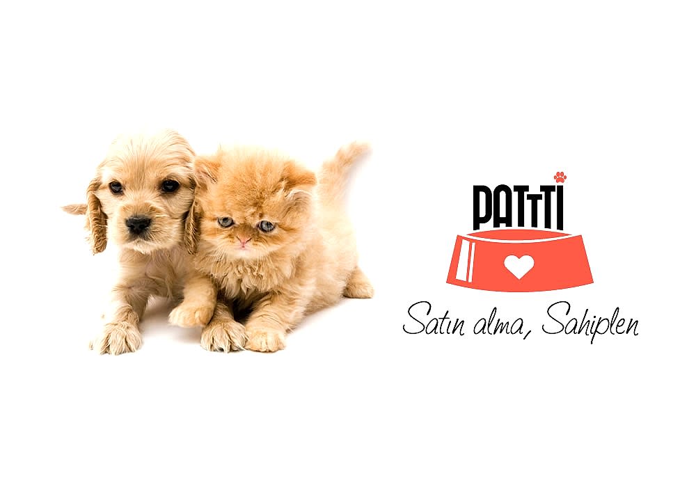 Patti Hayvan Sahiplendirme Sitesi 110